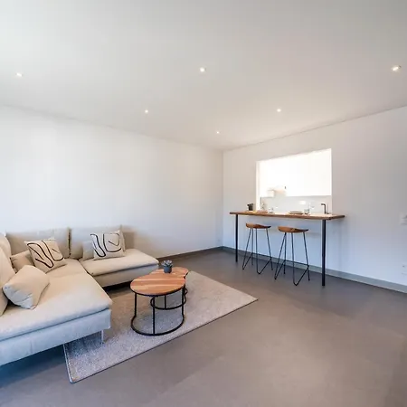 Appartement Renovated View With Aircon Minusio